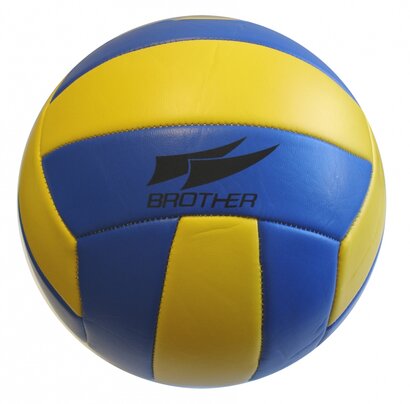  Volejbal žiakov SŠ