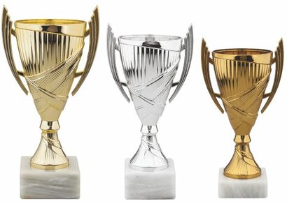 Skvelý úspech JA Firmy cho.company