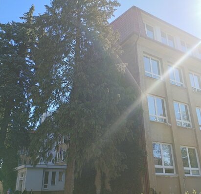 Fotky školy